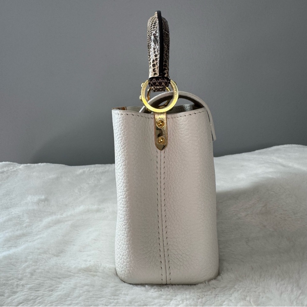 Louis Vuitton Taurillon & Python Leather Capucines Mini Handbag - Picture 6 of 16